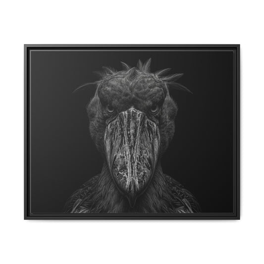 Framed Canvas Print — Shoebill Stock In Black