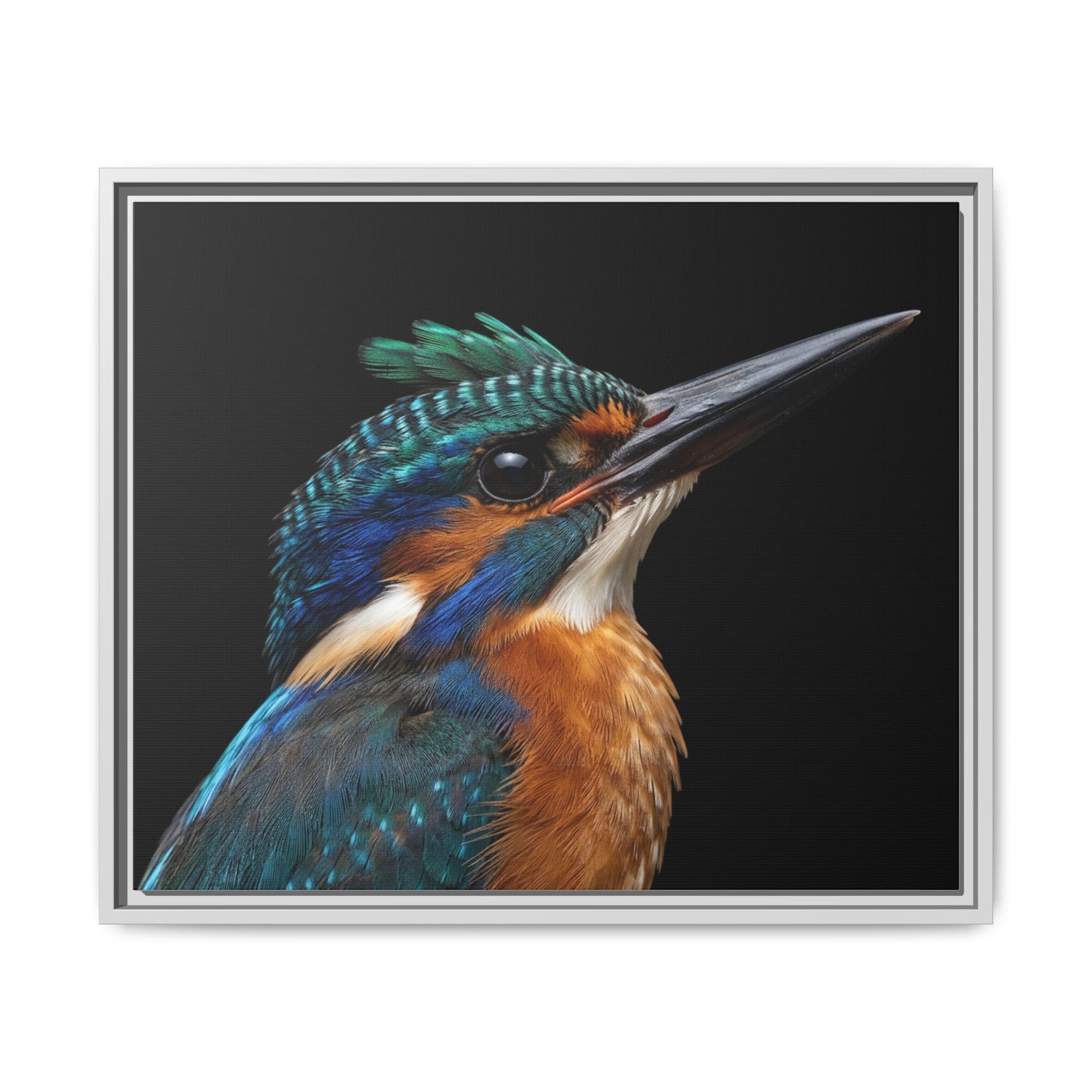 Framed Canvas Print — Malachite Kingfisher In Colour
