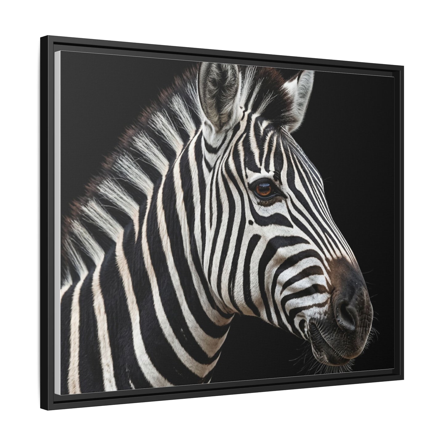 Framed Canvas Print — Zebra In Colour