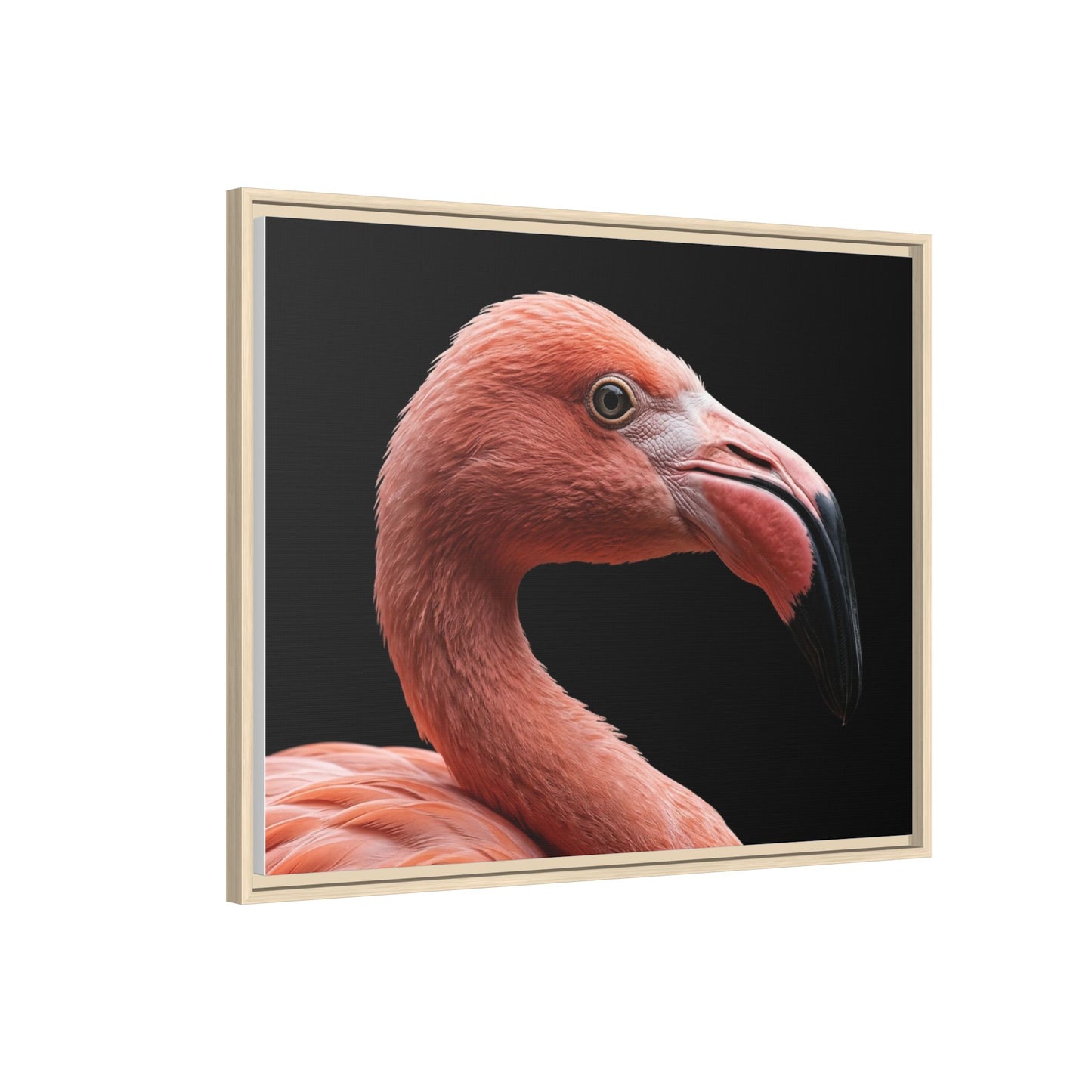 Framed Canvas Print — Flamingo In Colour