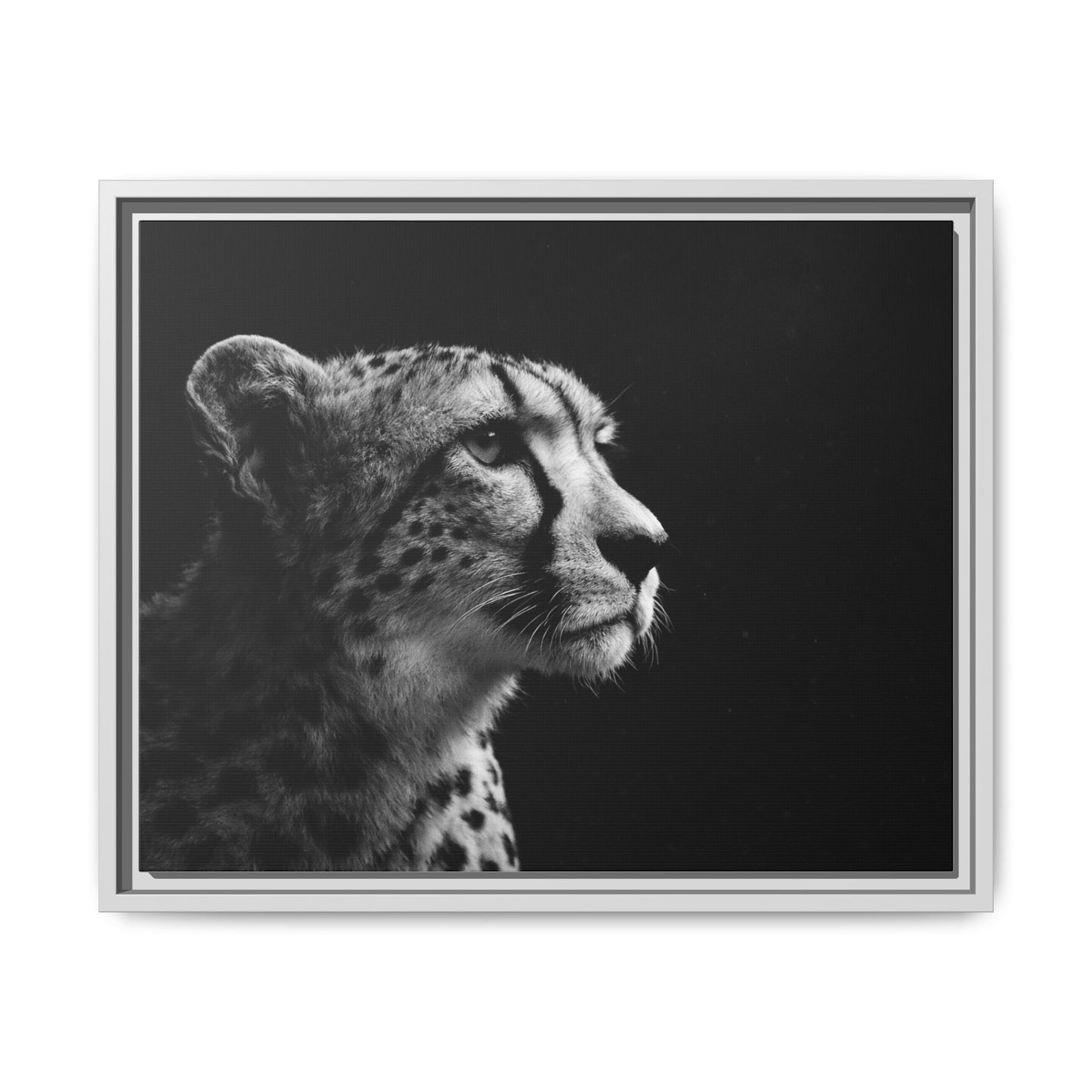 Framed Canvas Print — Cheetah Gaze