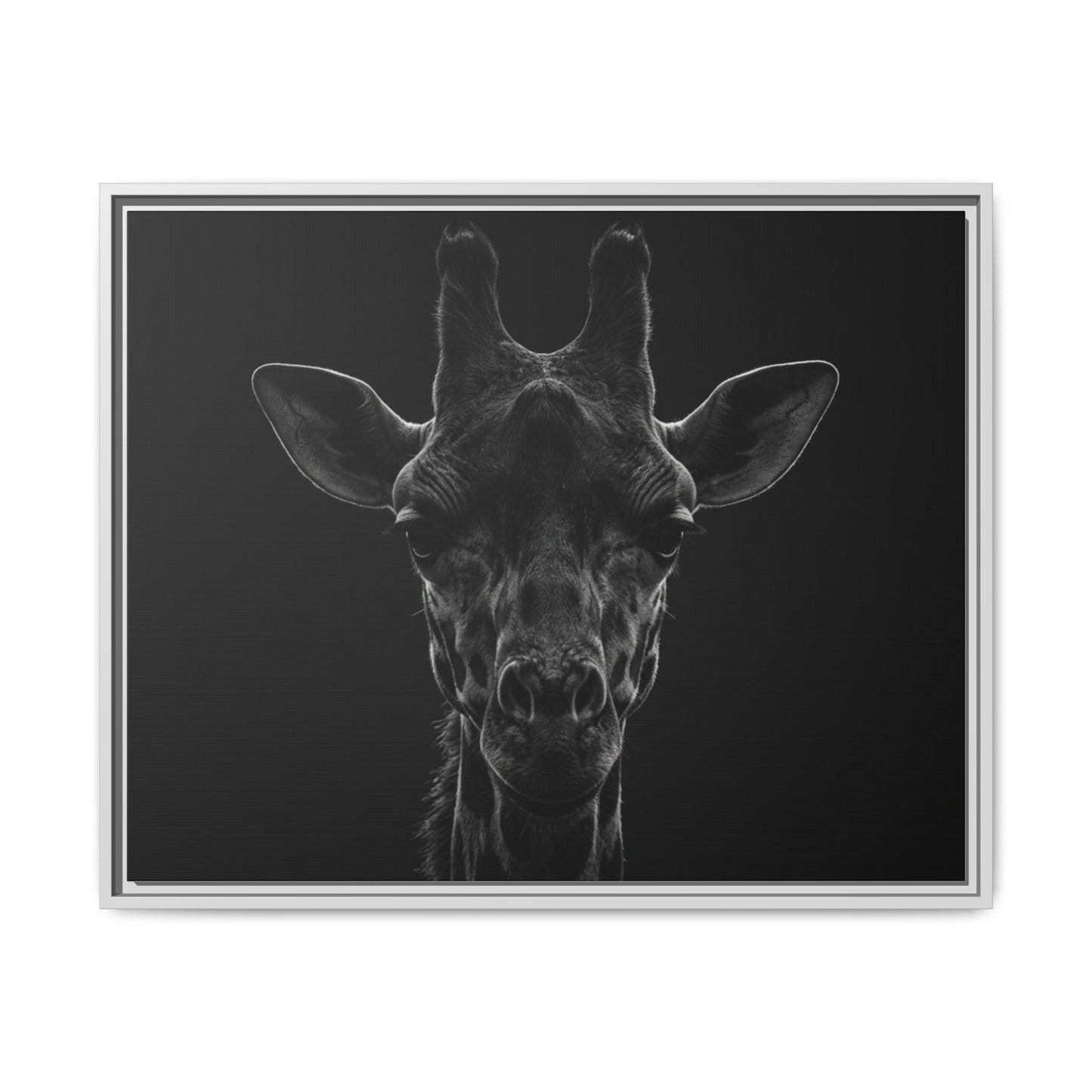 Framed Canvas Print — Giraffe In Black