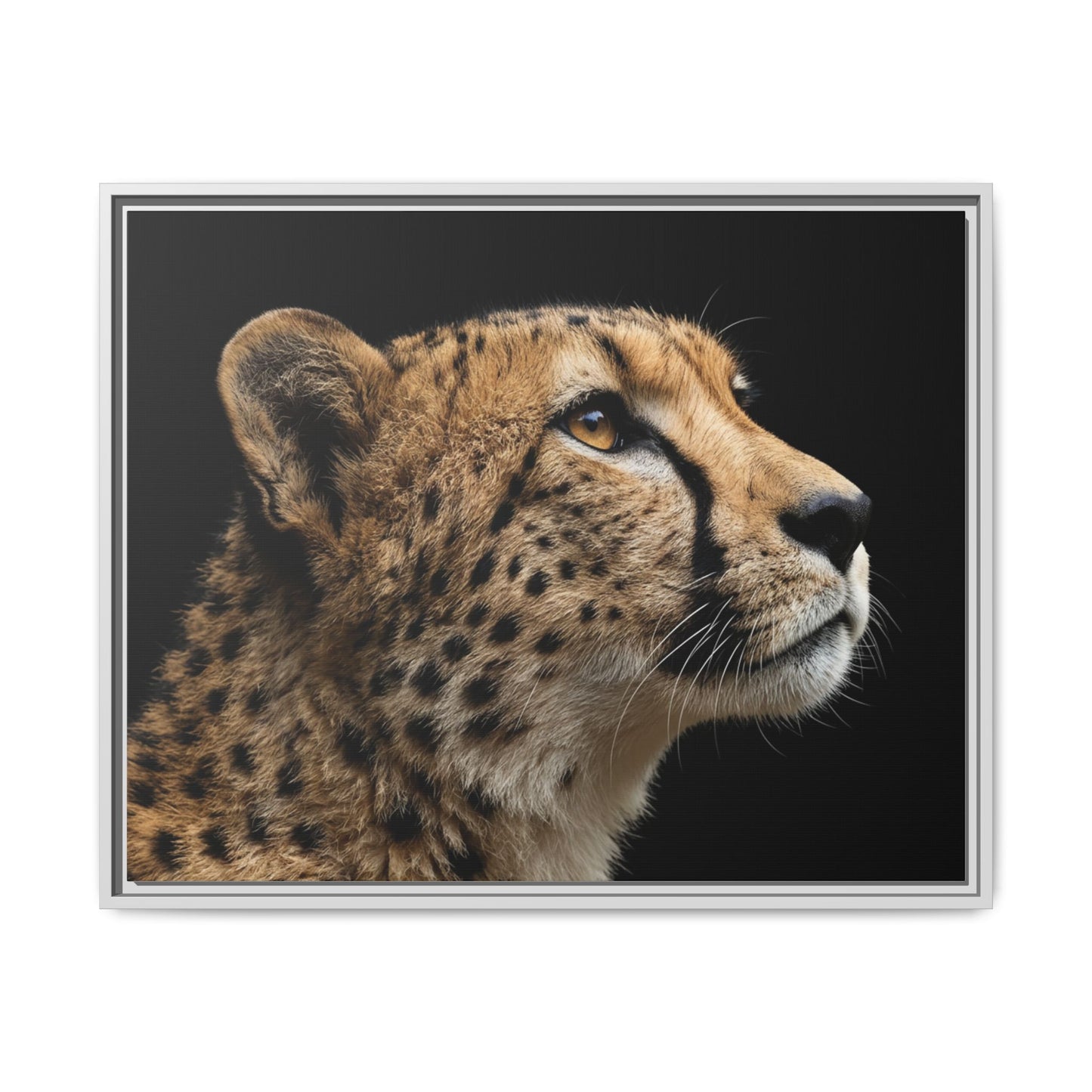 Framed Canvas Print — Cheetah In Colour