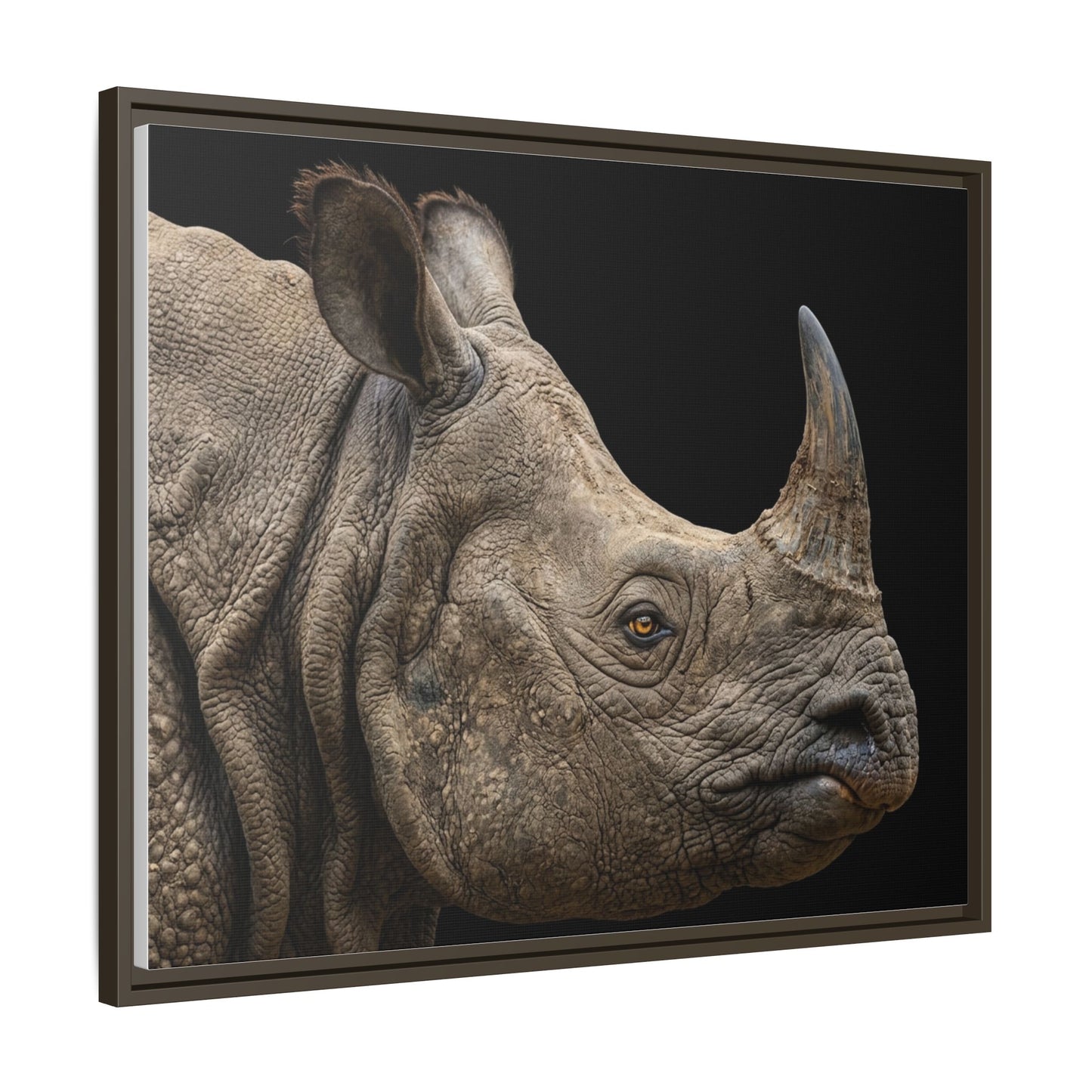 Framed Canvas Print — Rhinoceros In Colour