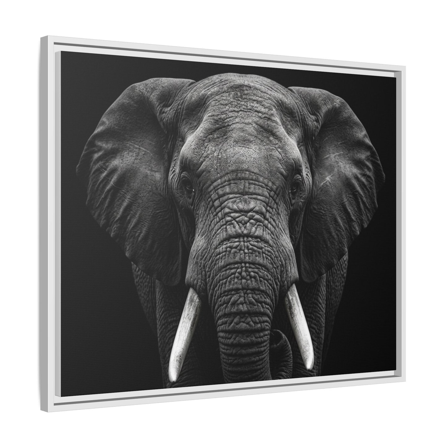 Framed Canvas Print — Elephant In Black