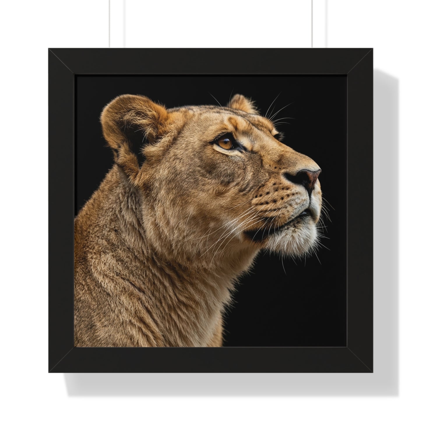 Framed Art Print – Lioness In Colour