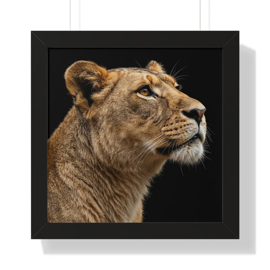 Framed Art Print – Lioness In Colour