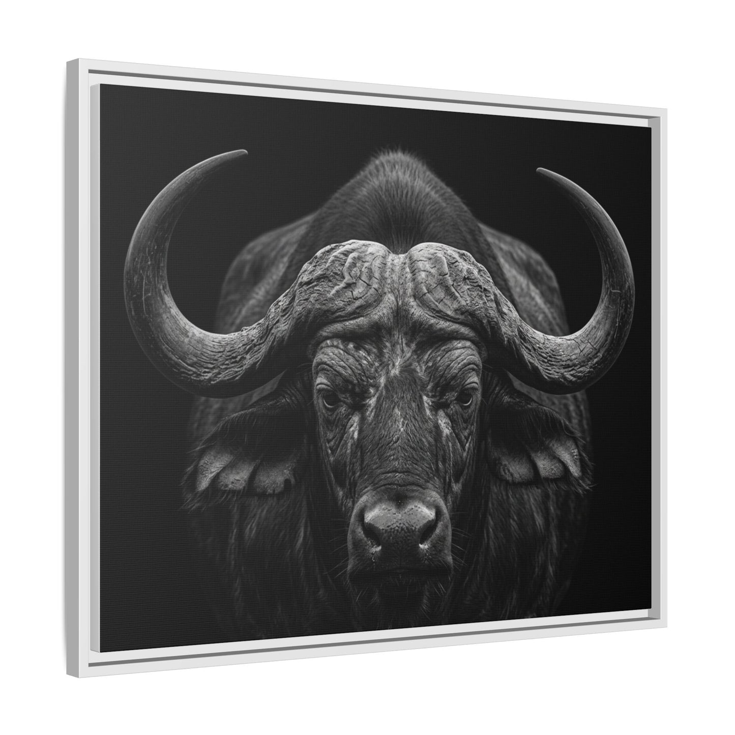 Framed Canvas Print — Cape Buffalo In Black