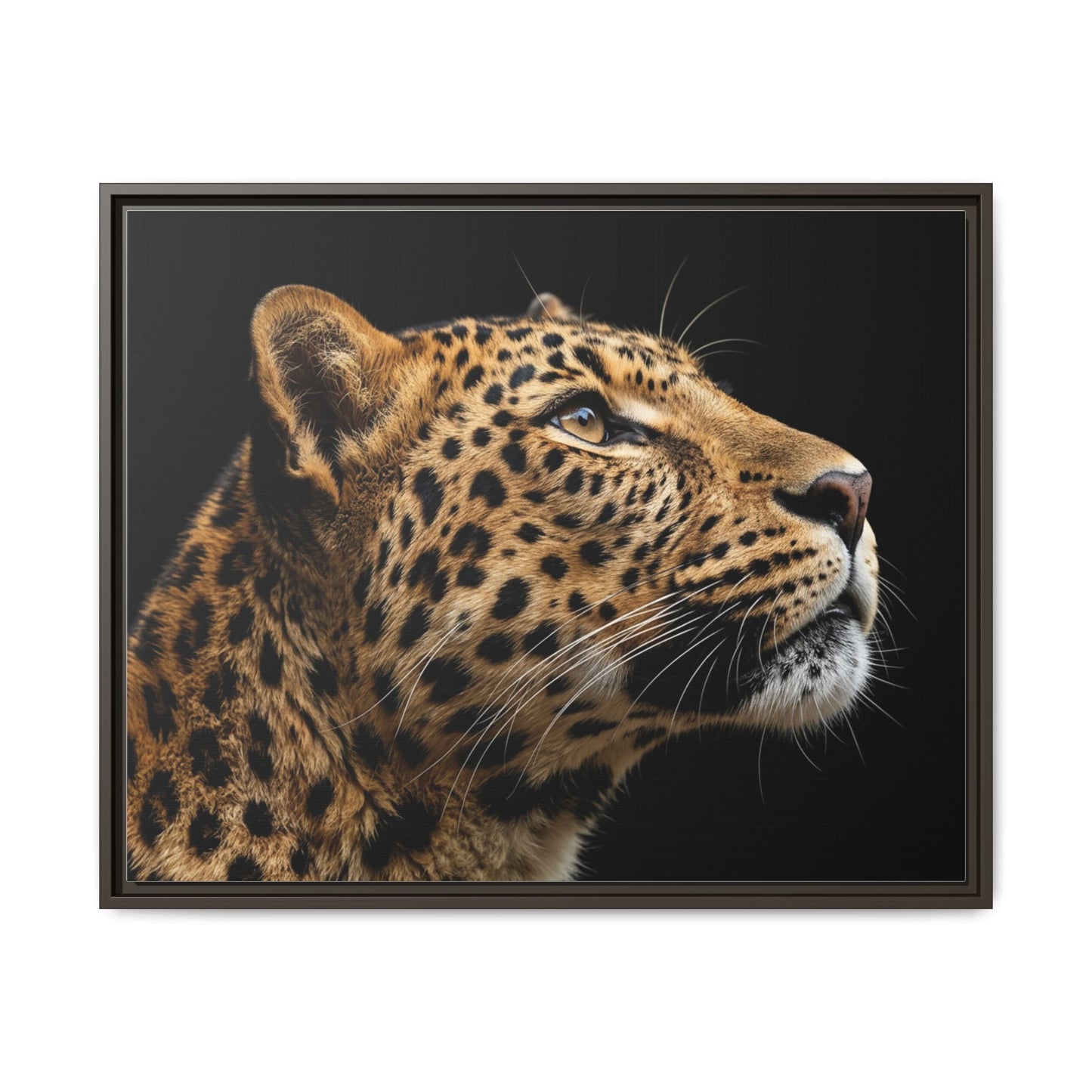 Framed Canvas Print — Leopard In Colour