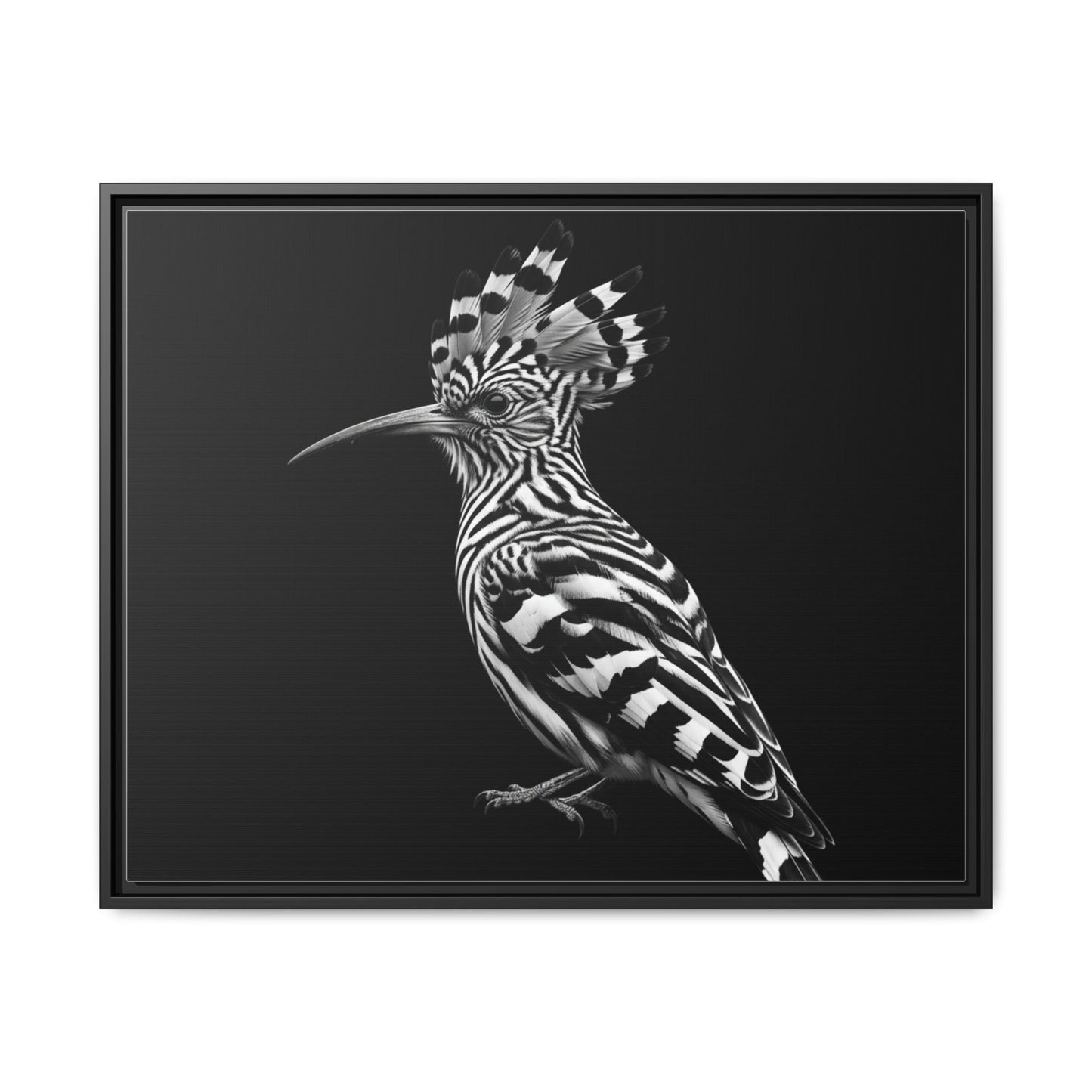 Framed Canvas Print — Afrikan Hoopoe In Black