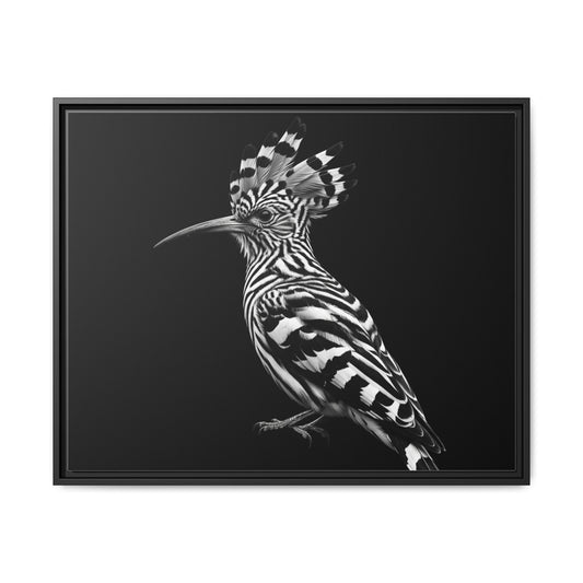 Framed Canvas Print — Afrikan Hoopoe In Black