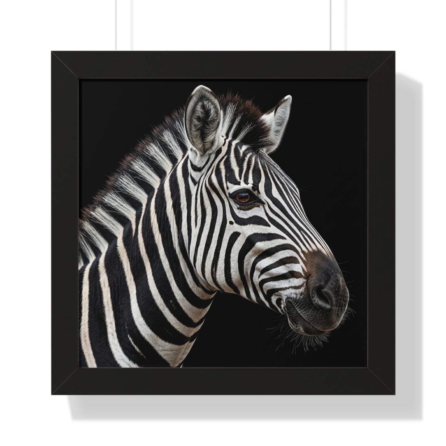 Framed Art Print – Zebra In Colour