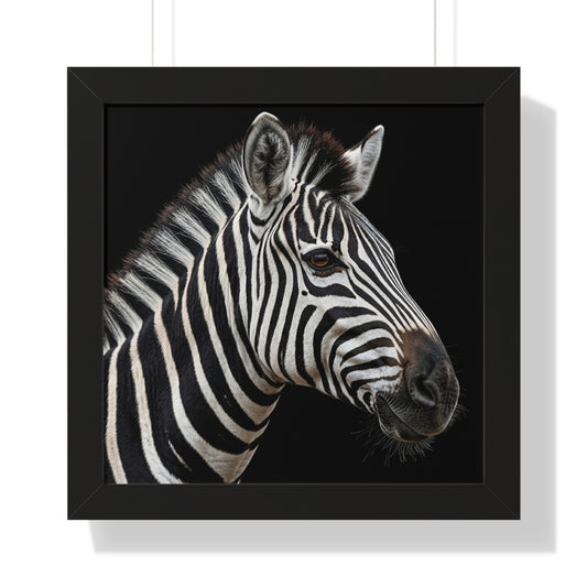 Framed Art Print – Zebra In Colour