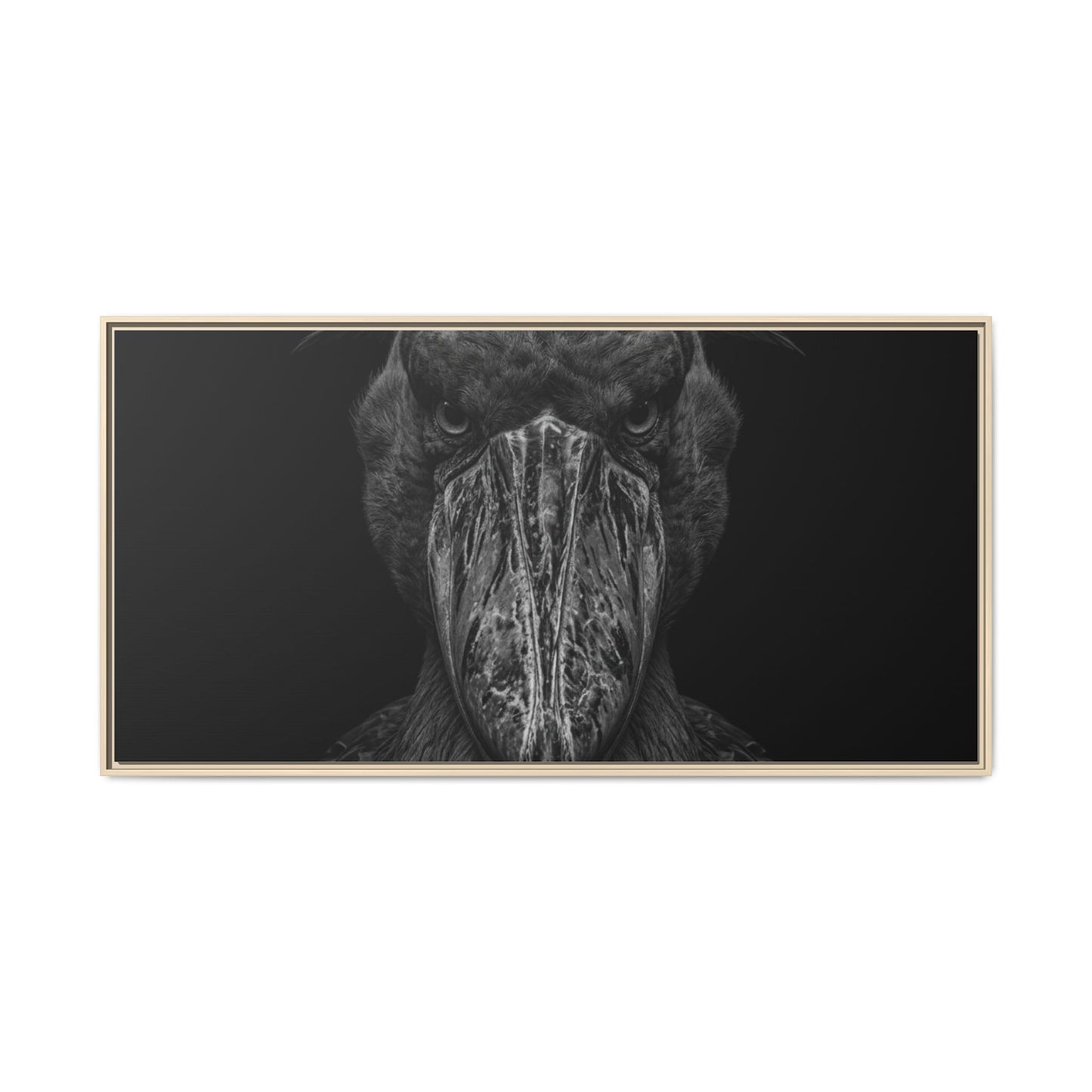 Framed Canvas Print — Shoebill Stock In Black
