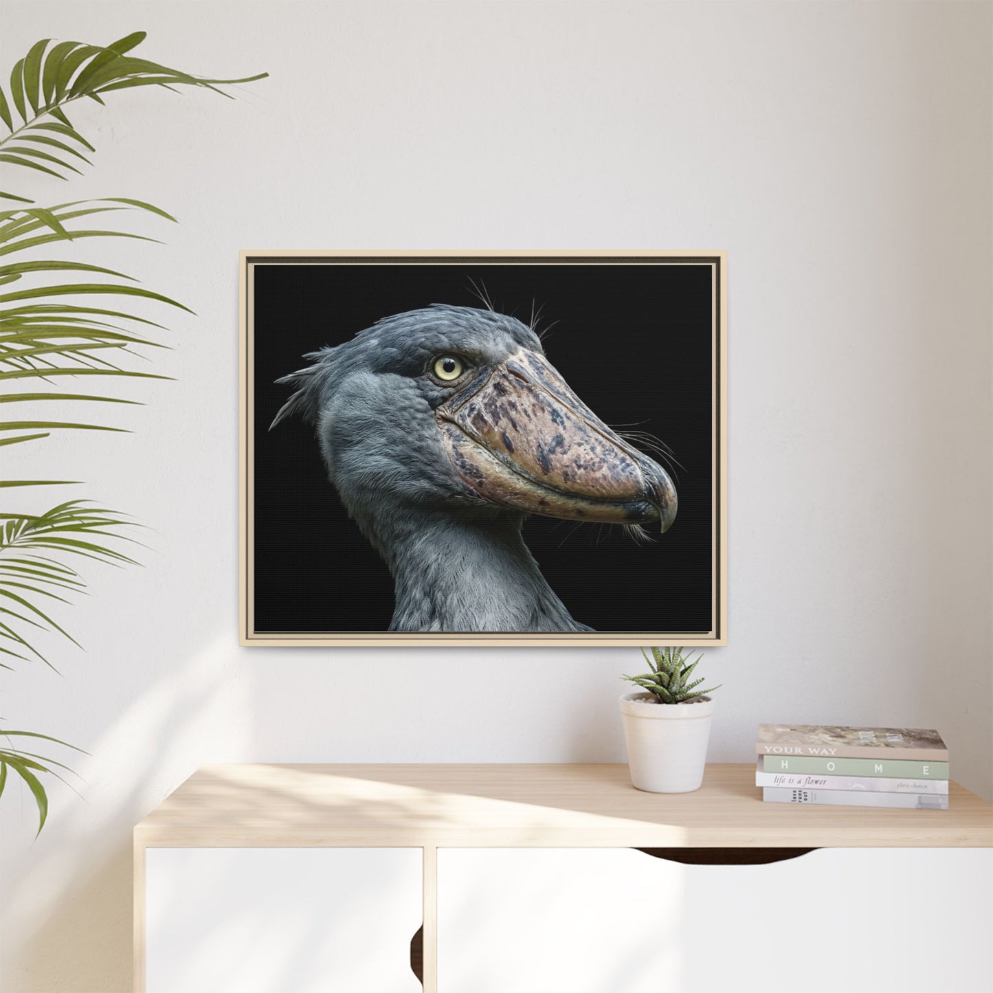 Framed Canvas Print — Shoebill Stork In Colour