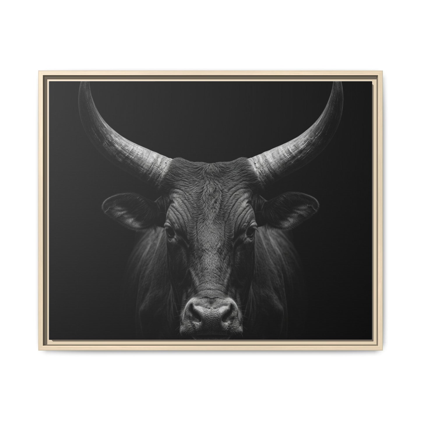 Framed Canvas Print — Ankole Cow In Black