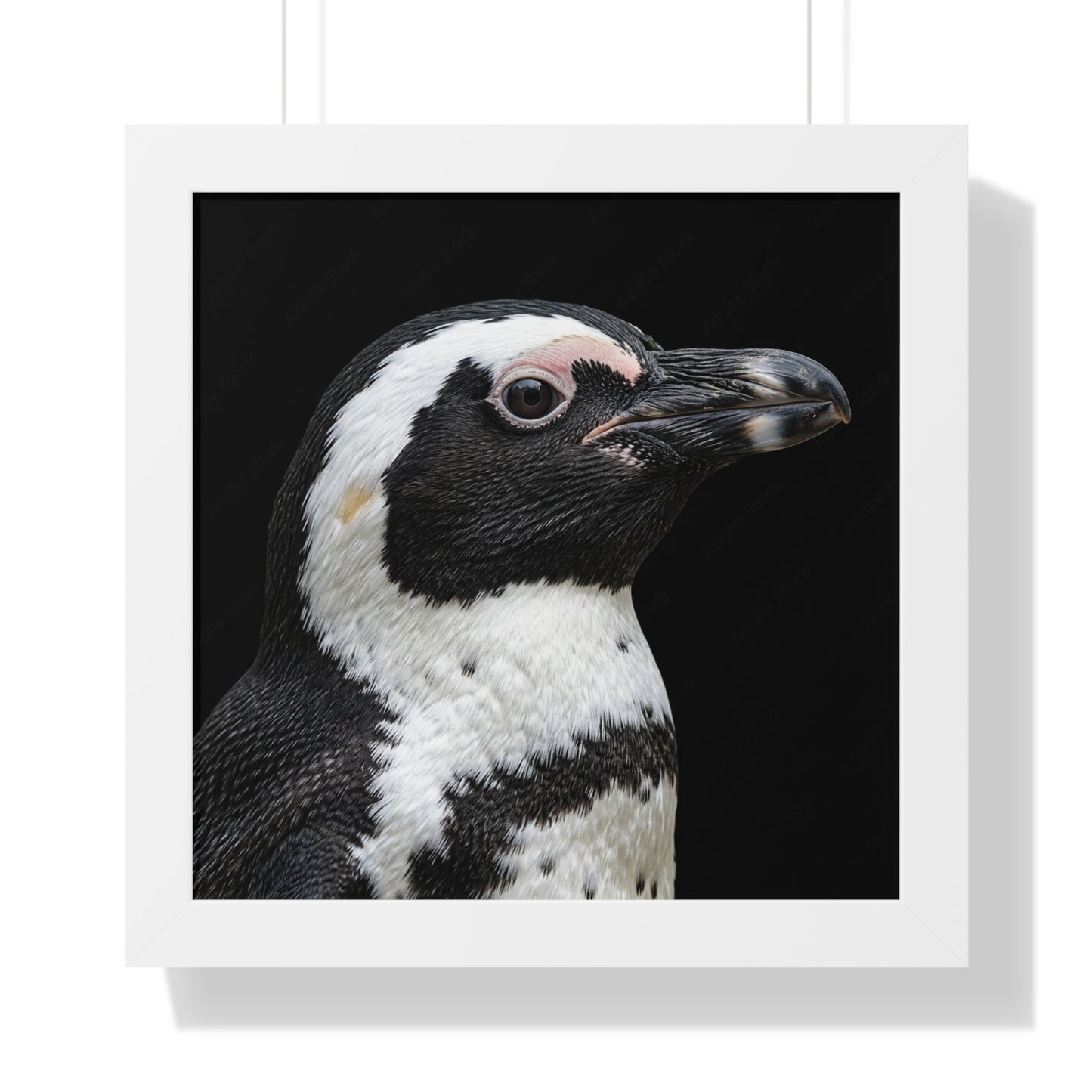 Framed Art Print – Afrikan Penguin In Colour