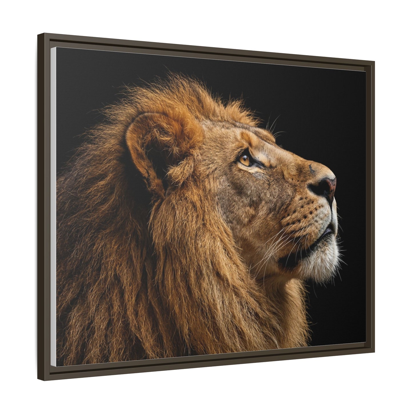 Framed Canvas Print — Lion In Colour