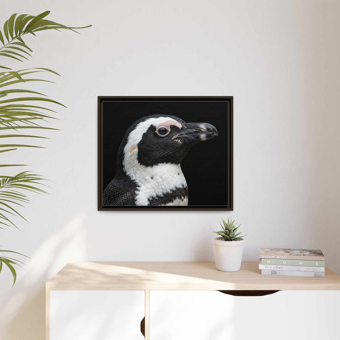 Framed Canvas Print — Afrikan Penguin In Colour