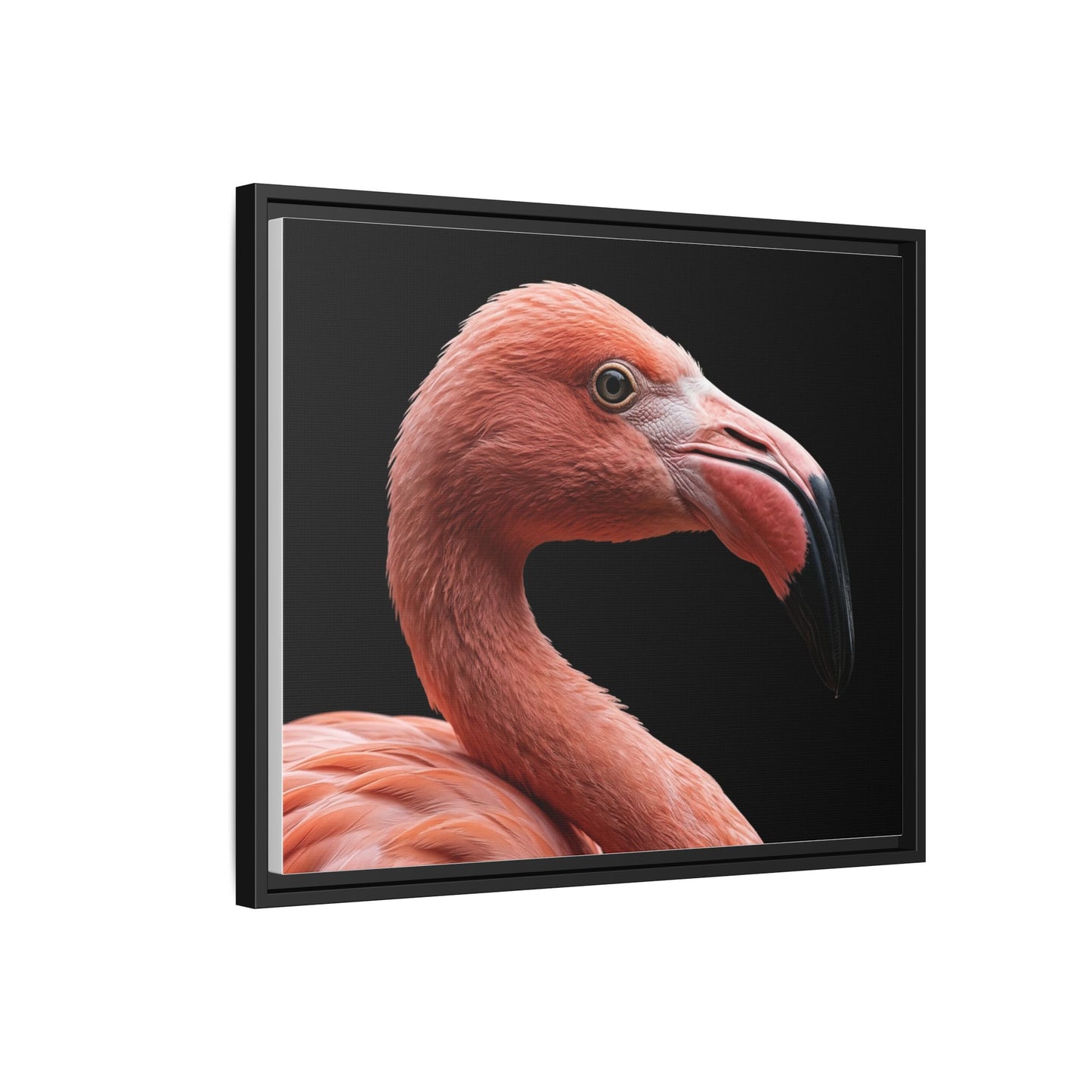 Framed Canvas Print — Flamingo In Colour