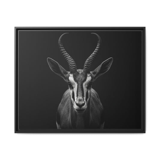 Framed Canvas Print — Springbok In Black