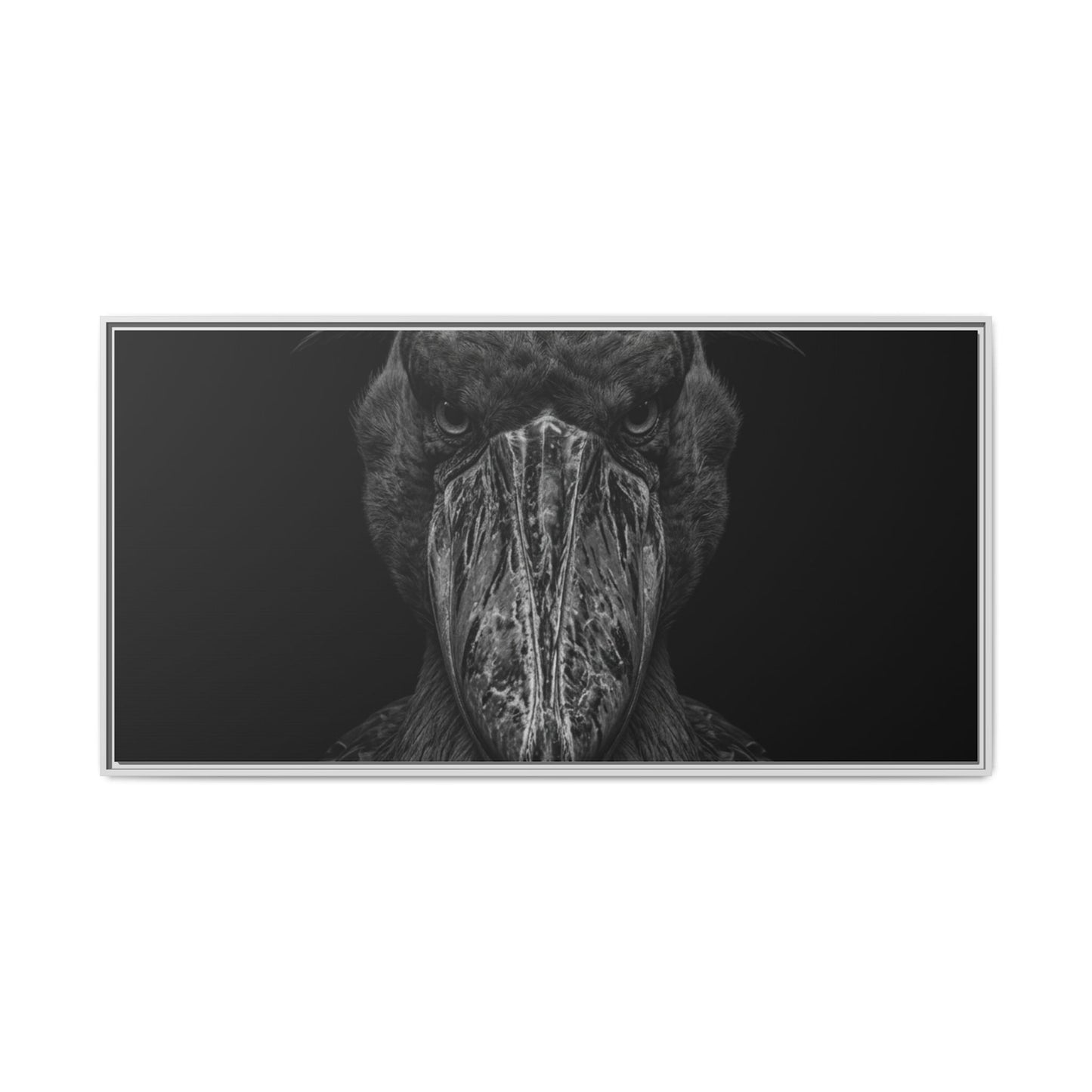 Framed Canvas Print — Shoebill Stock In Black
