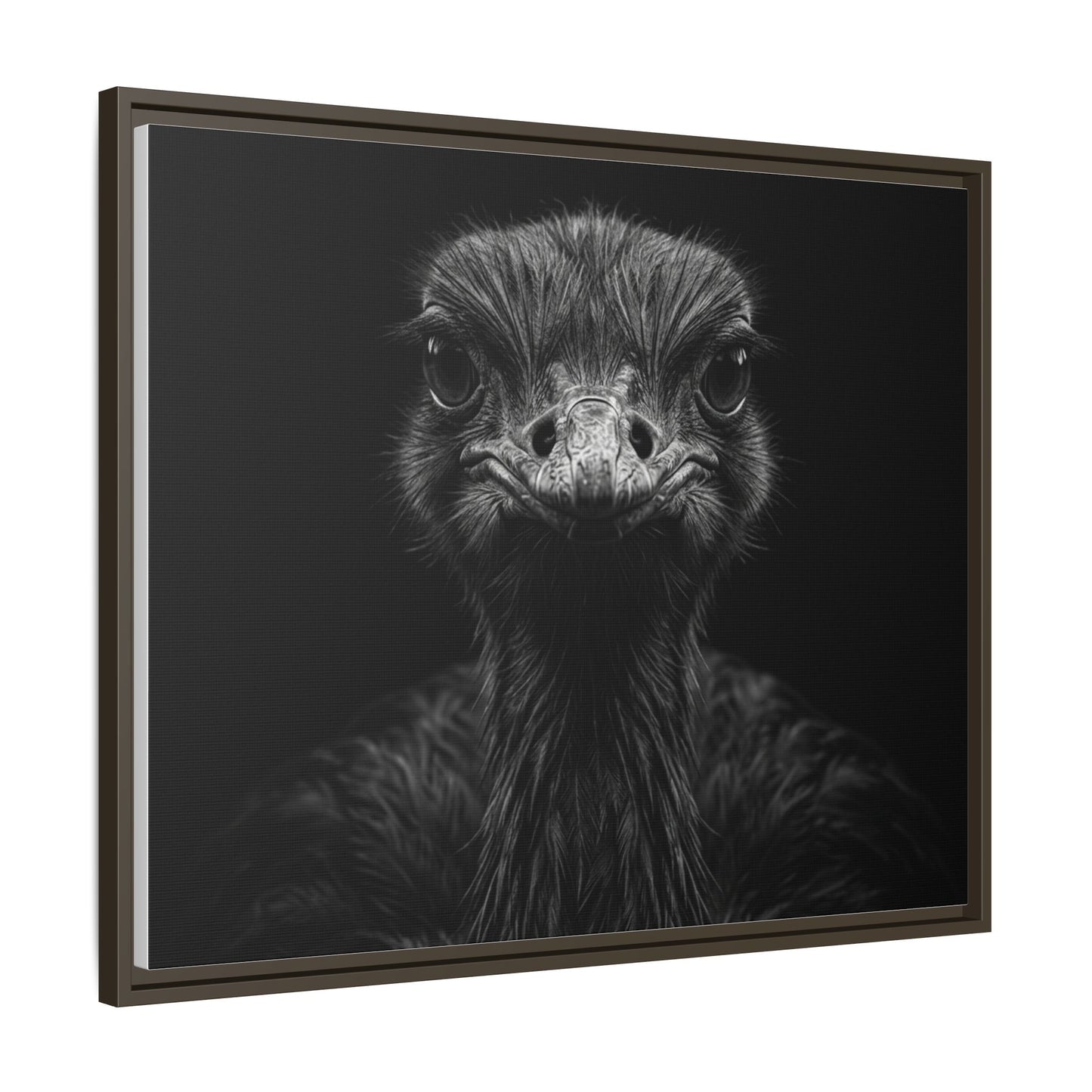 Framed Canvas Print — Ostrich In Black