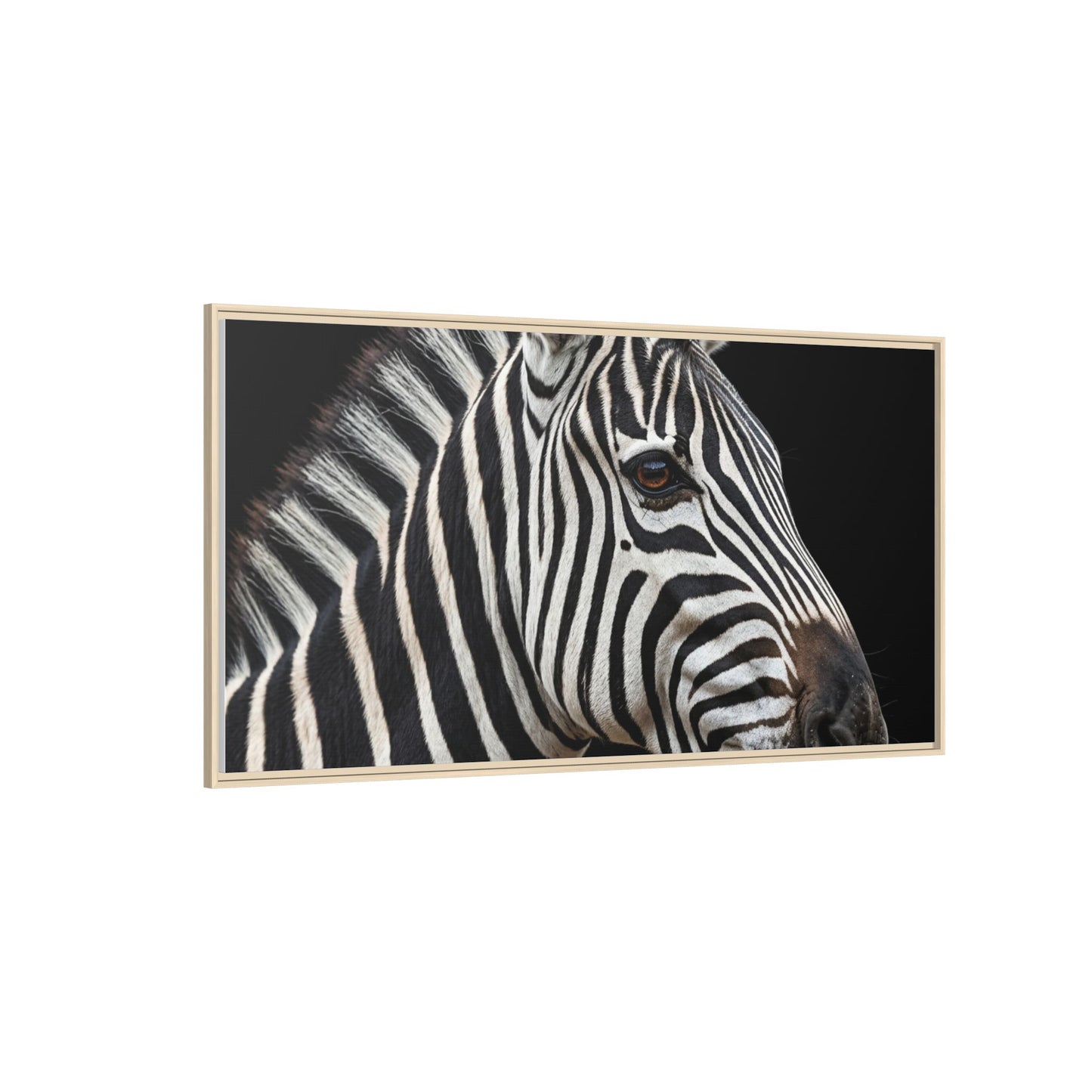 Framed Canvas Print — Zebra In Colour