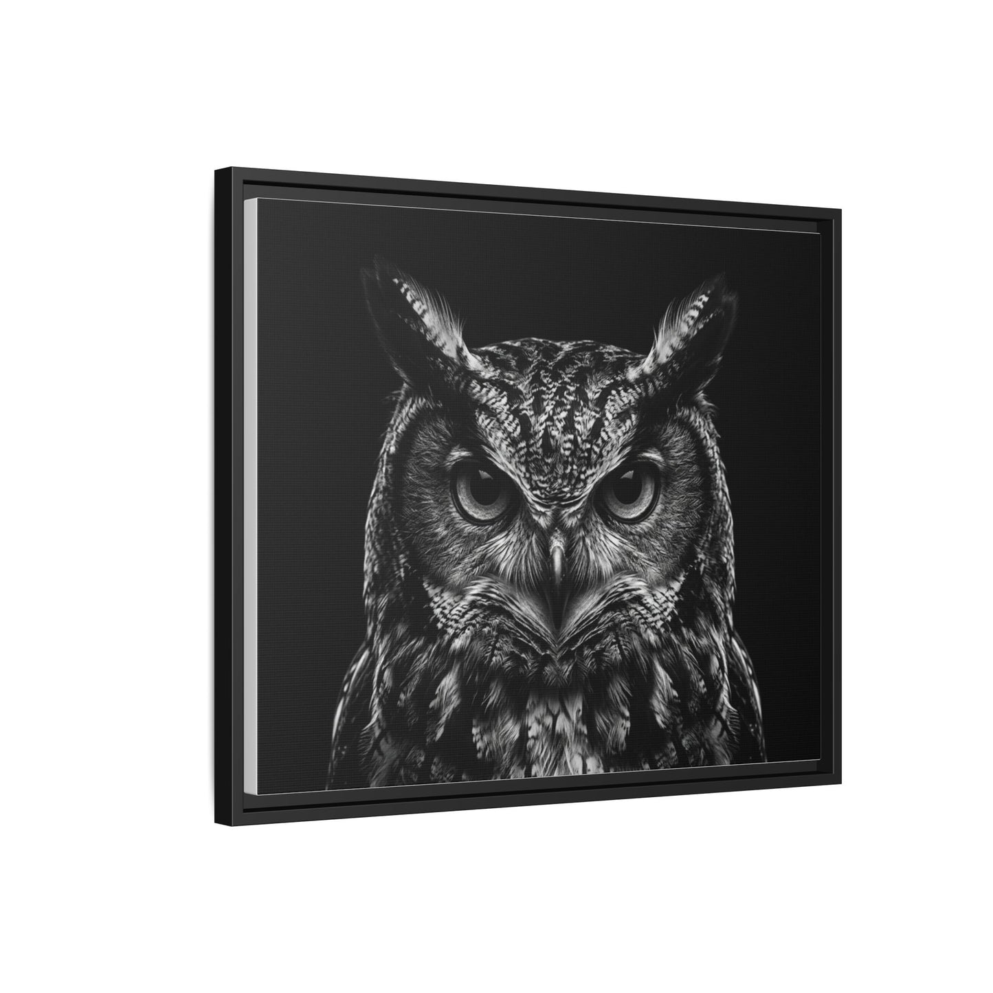 Framed Canvas Print — Scops Owl In Black