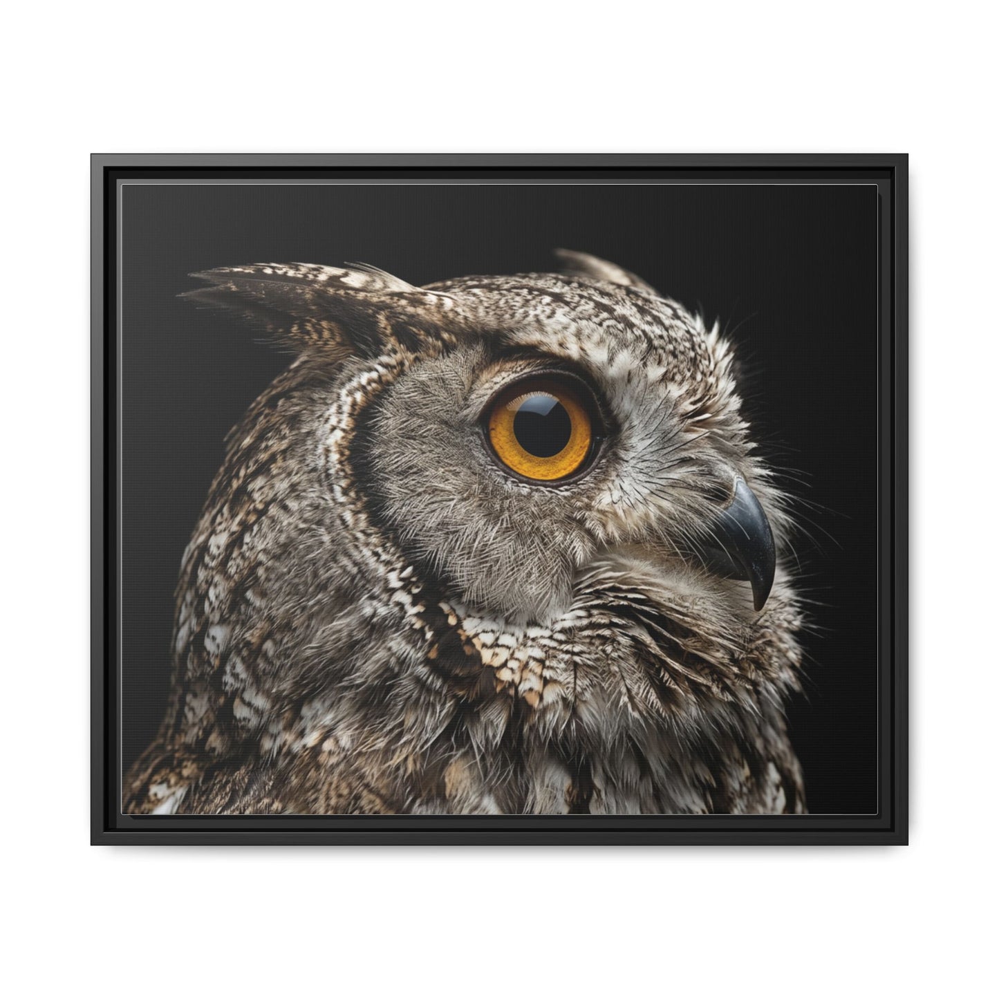 Framed Canvas Print — Scops Owl In Colour