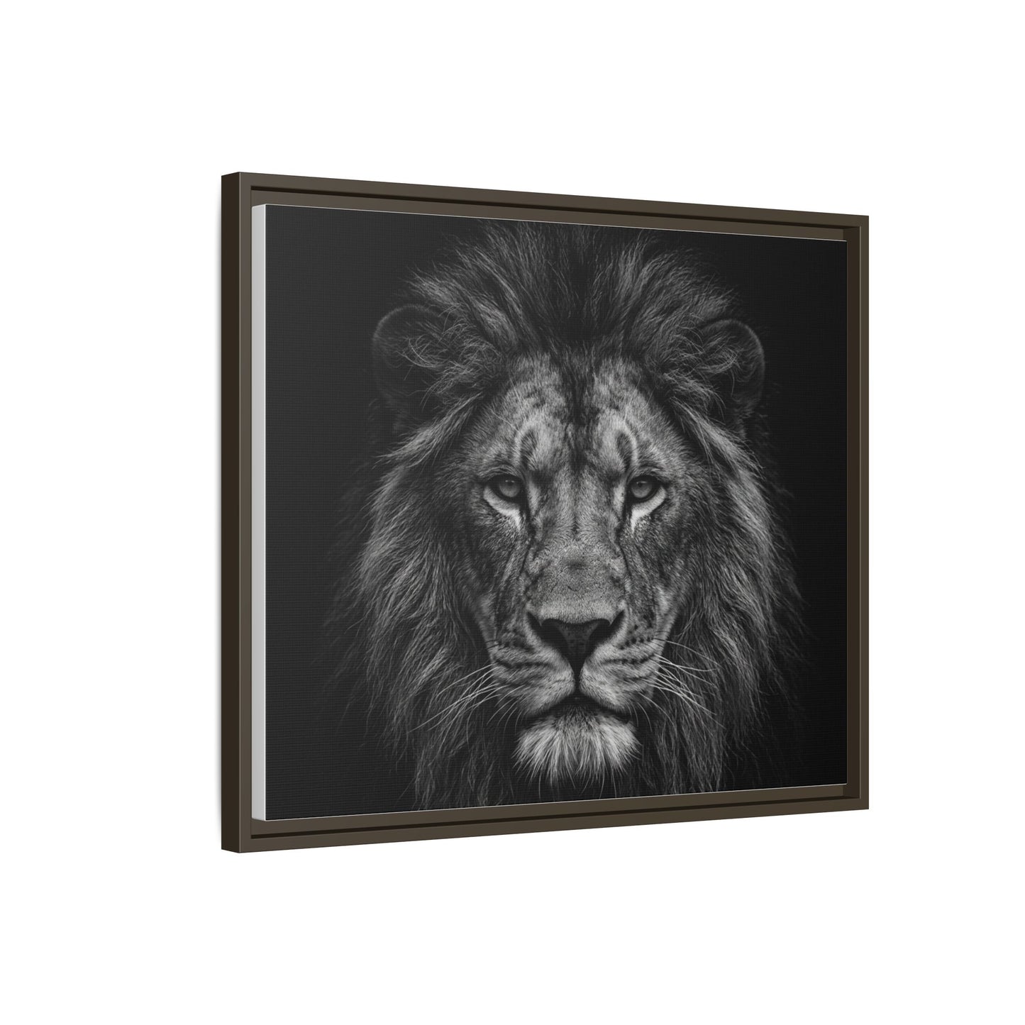 Framed Canvas Print — Lion In Black