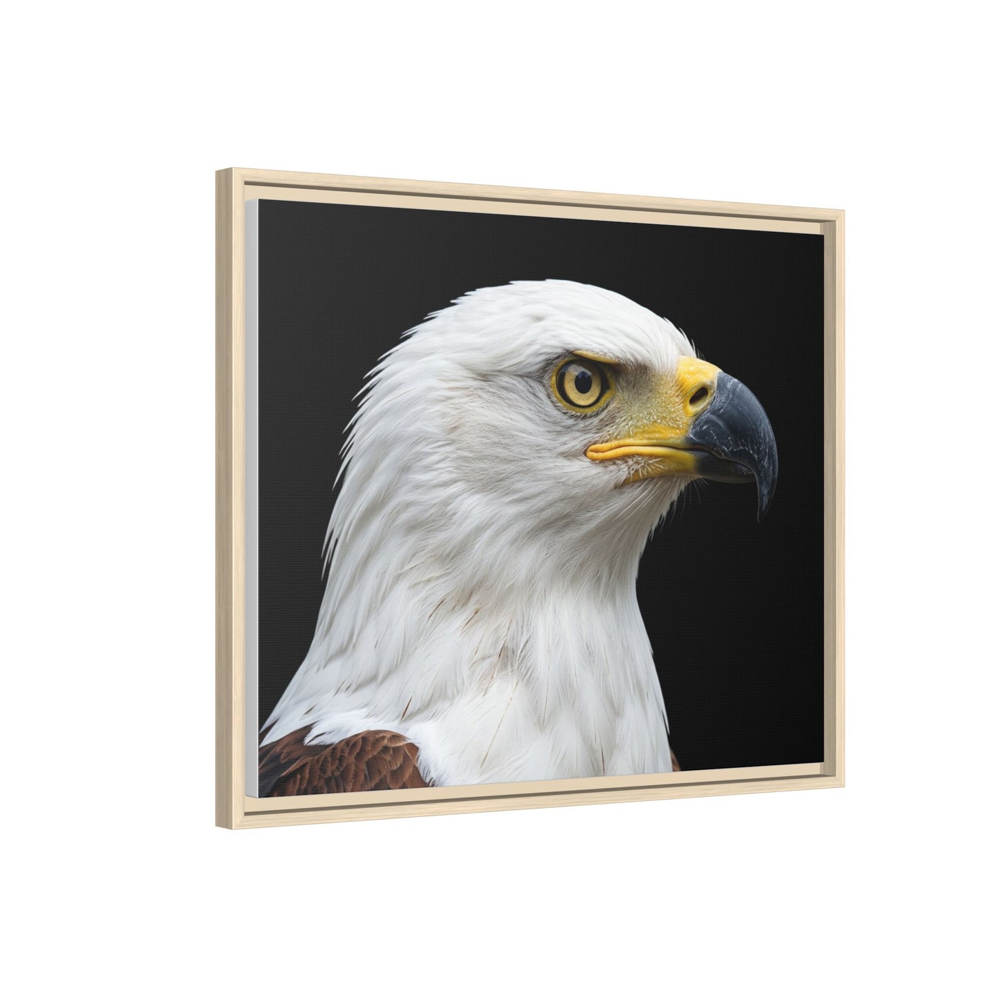 Framed Canvas Print — Fish Eagle In Colour