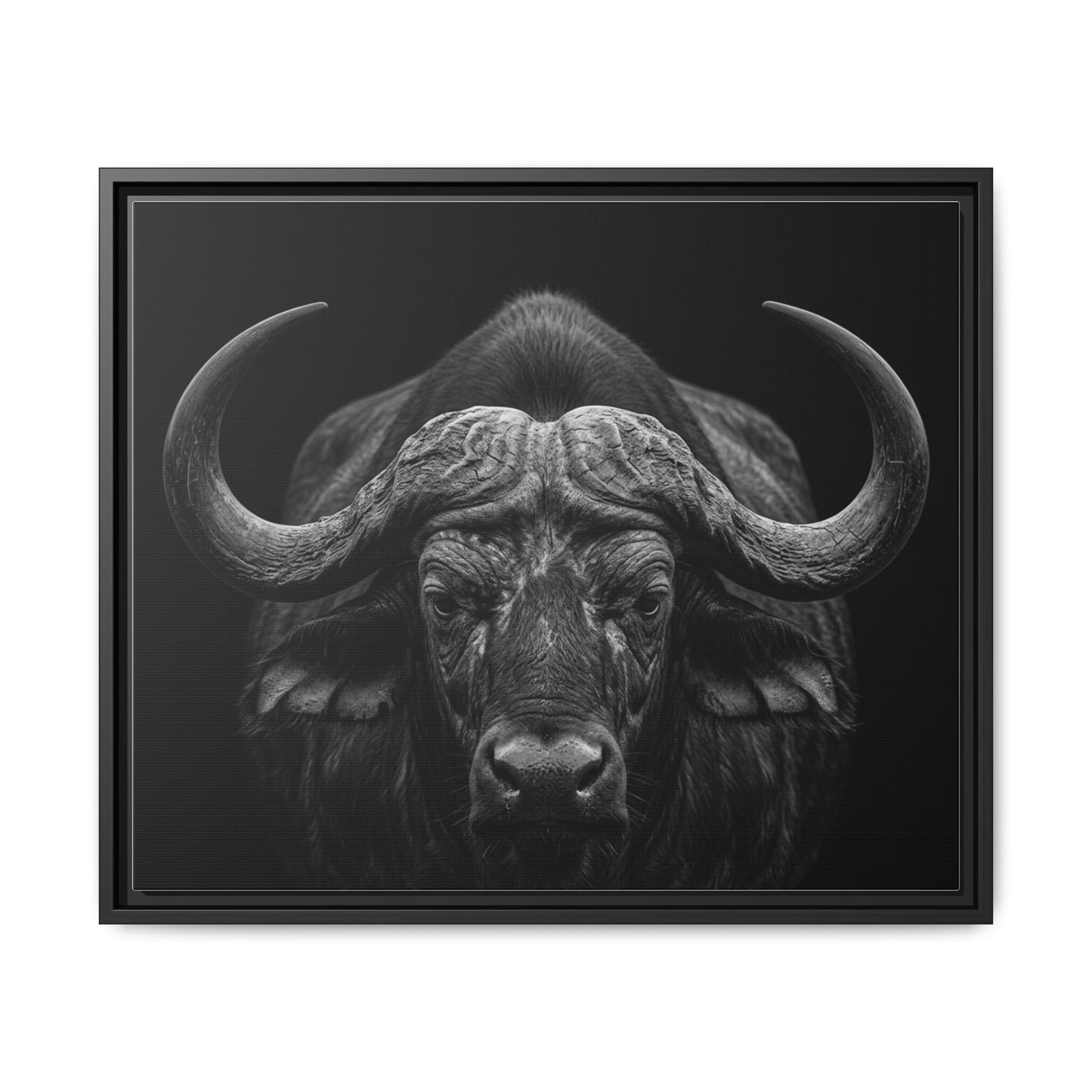 Framed Canvas Print — Cape Buffalo In Black