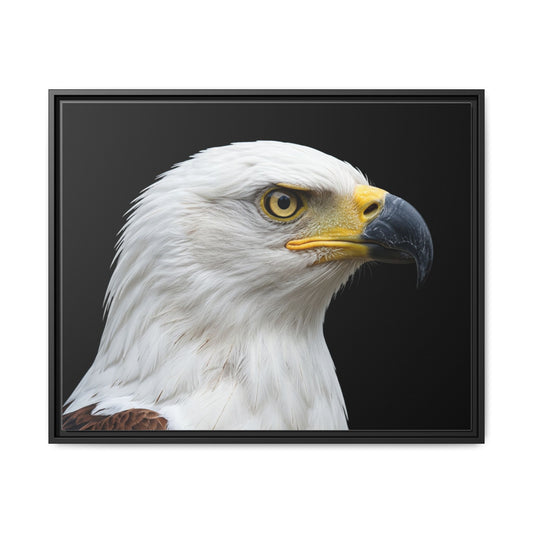 Framed Canvas Print — Fish Eagle In Colour