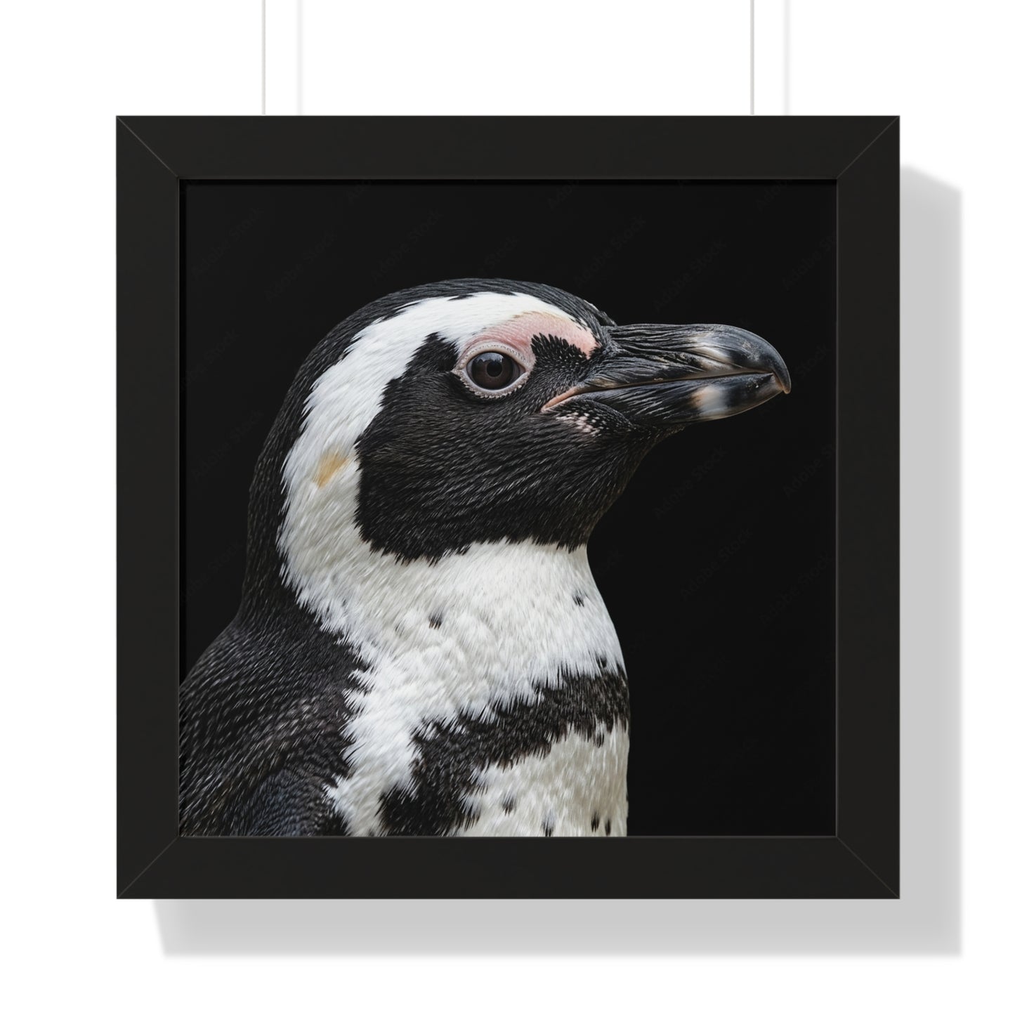 Framed Art Print – Afrikan Penguin In Colour