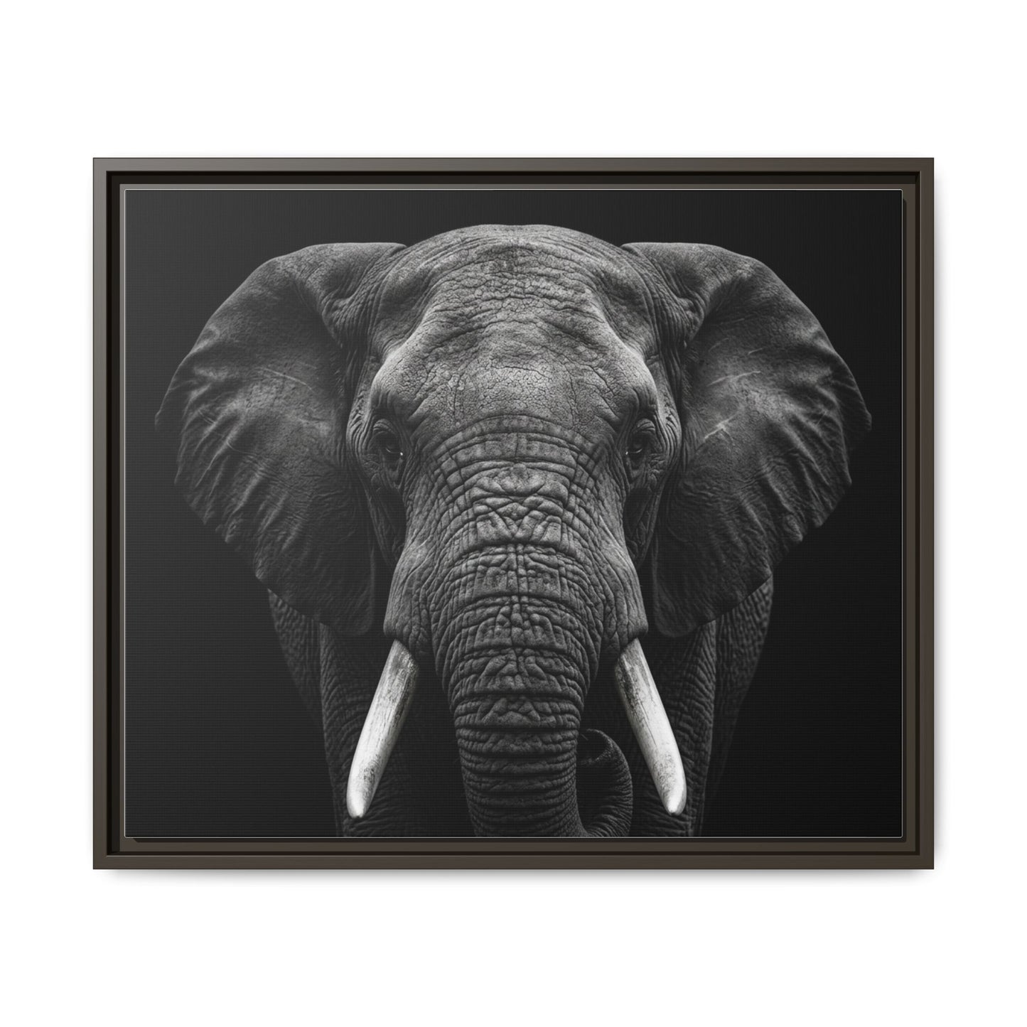 Framed Canvas Print — Elephant In Black