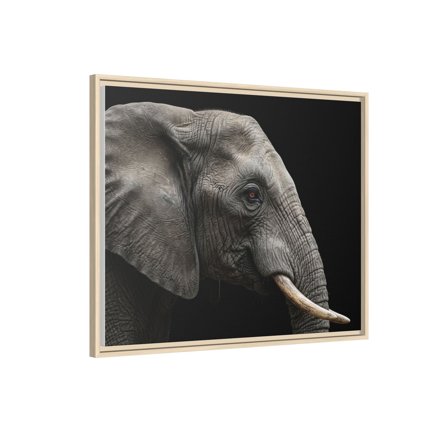 Framed Canvas Print — Elephant In Colour
