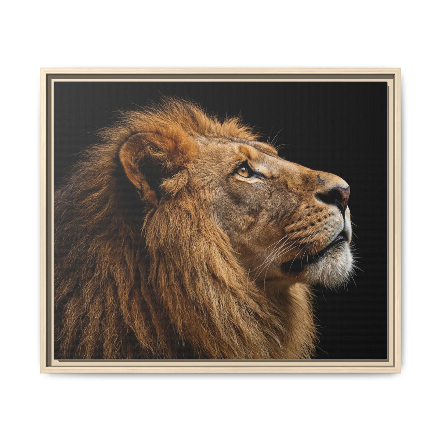Framed Canvas Print — Lion In Colour