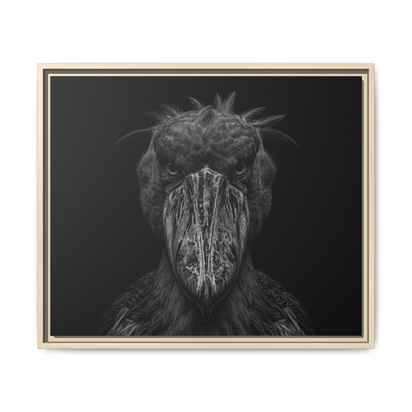 Framed Canvas Print — Shoebill Stock In Black