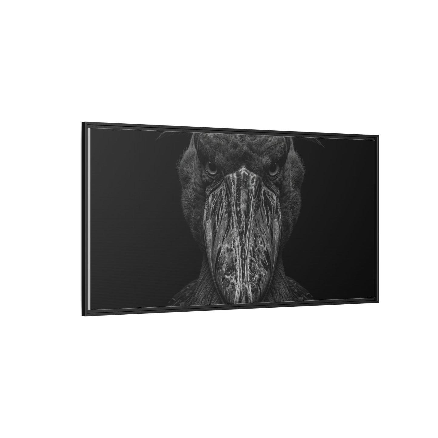 Framed Canvas Print — Shoebill Stock In Black