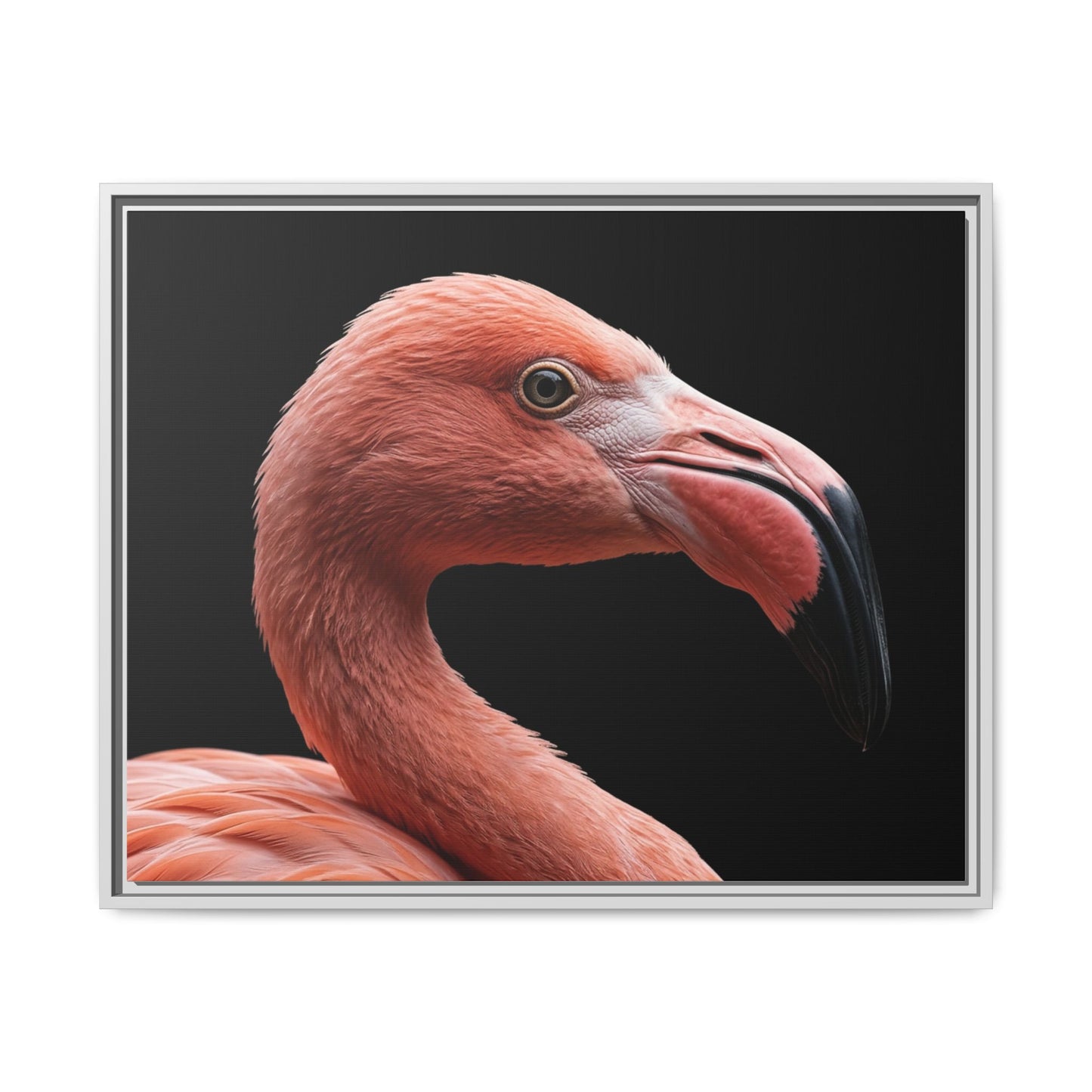 Framed Canvas Print — Flamingo In Colour