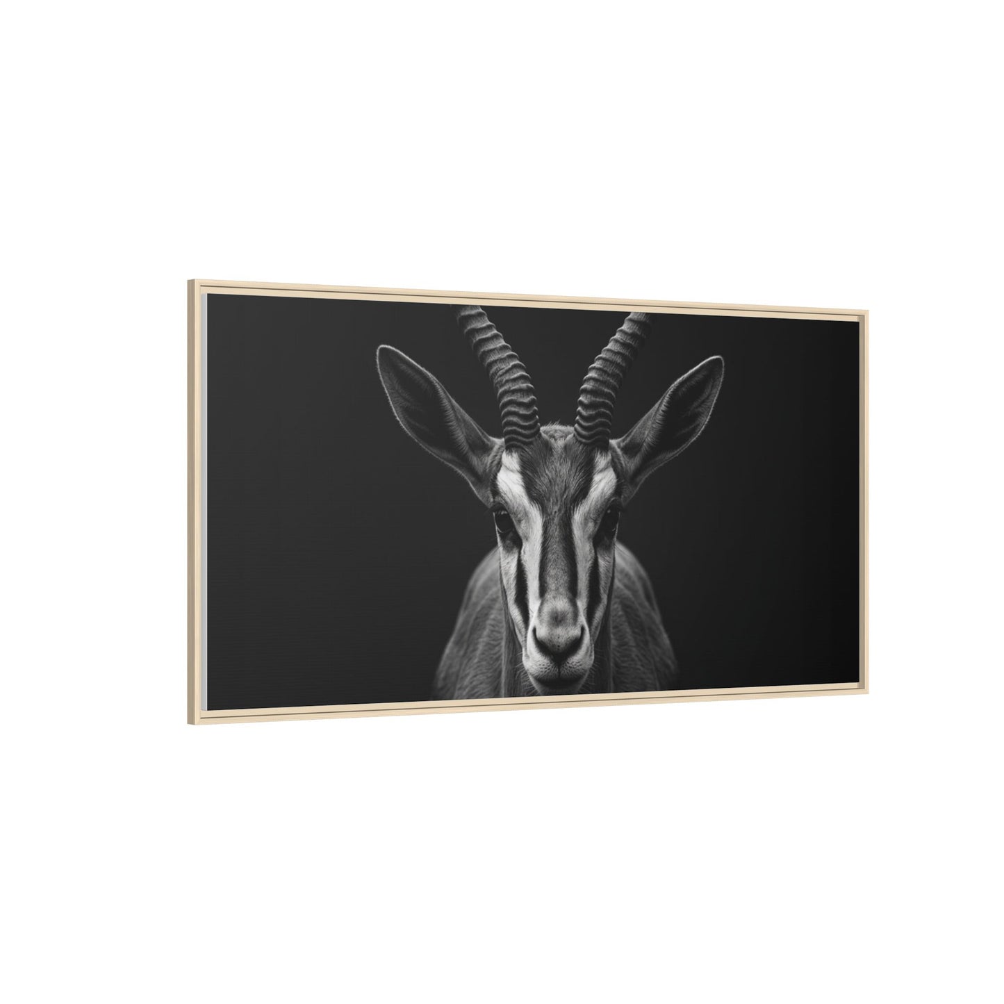 Framed Canvas Print — Springbok In Black