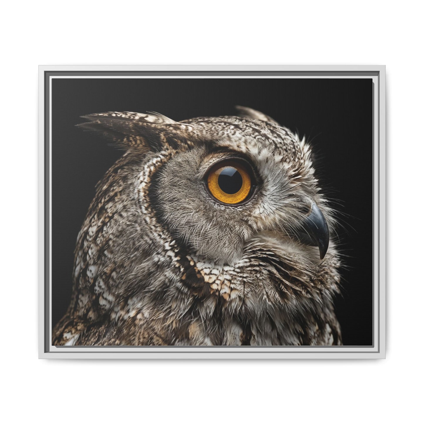 Framed Canvas Print — Scops Owl In Colour