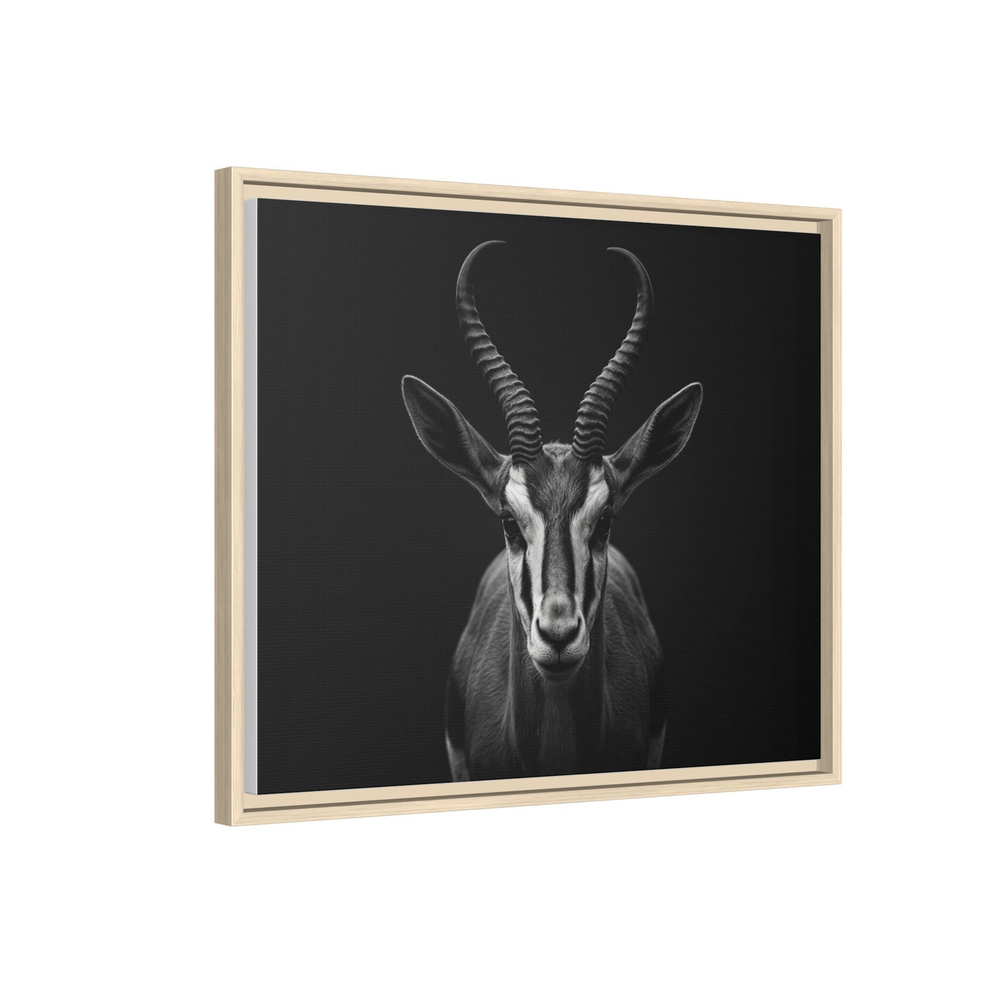 Framed Canvas Print — Springbok In Black