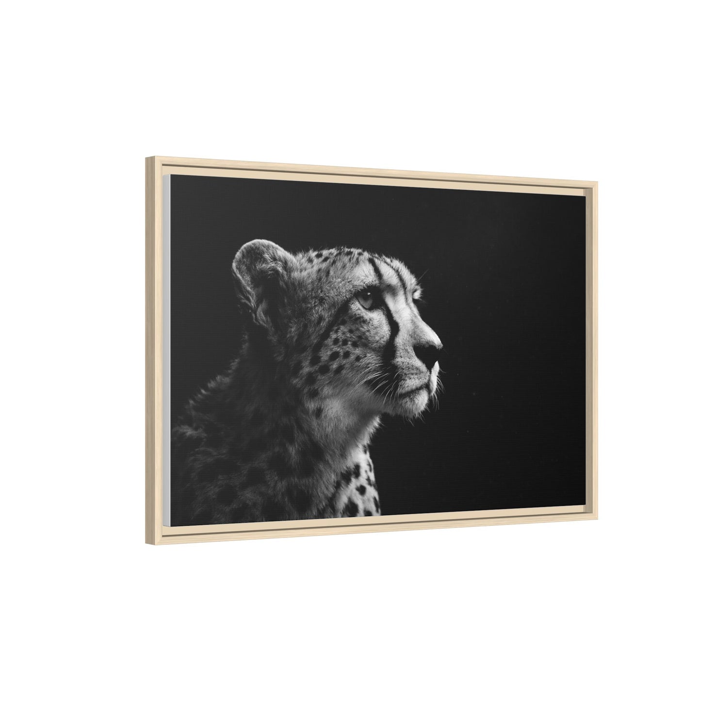 Framed Canvas Print — Cheetah Gaze