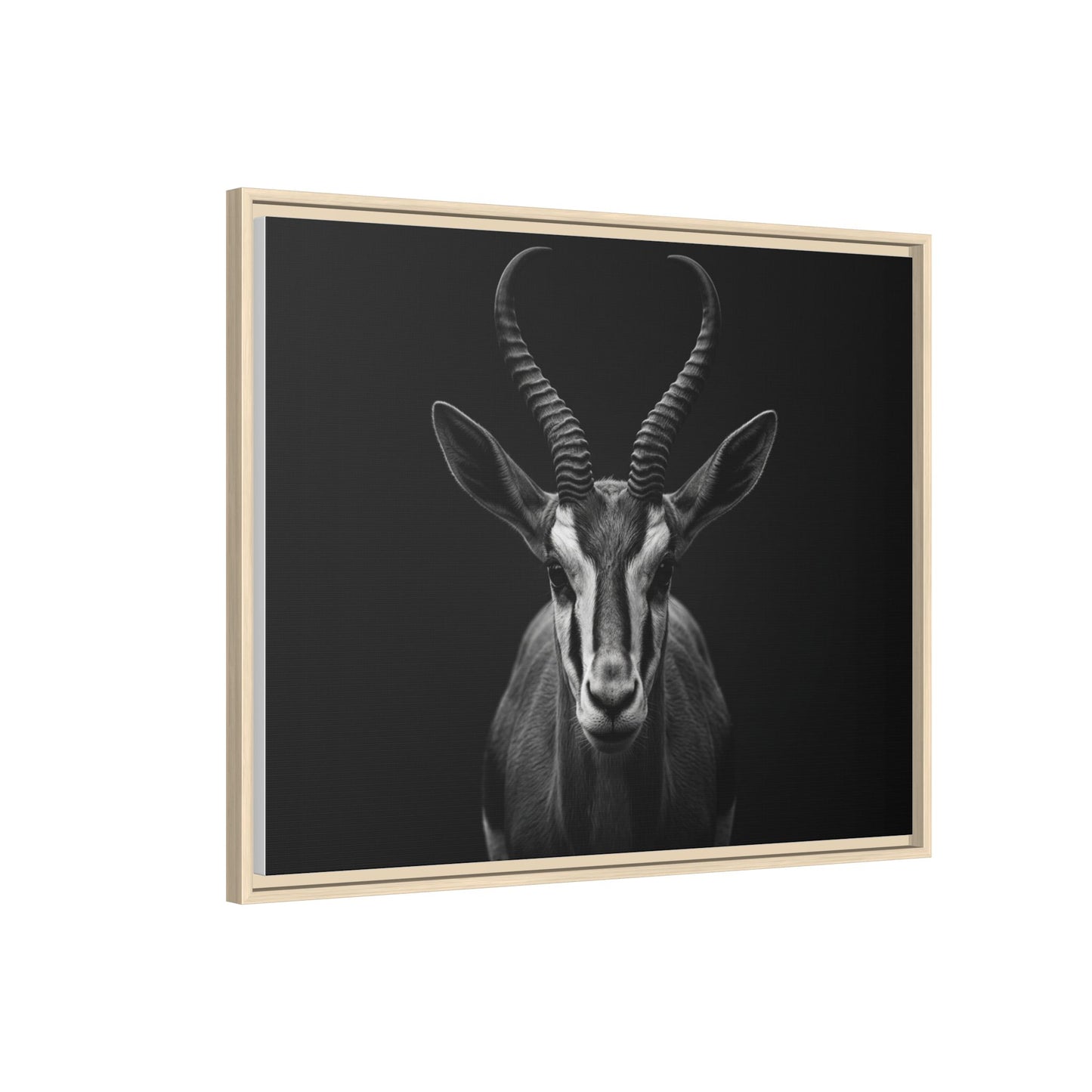 Framed Canvas Print — Springbok In Black