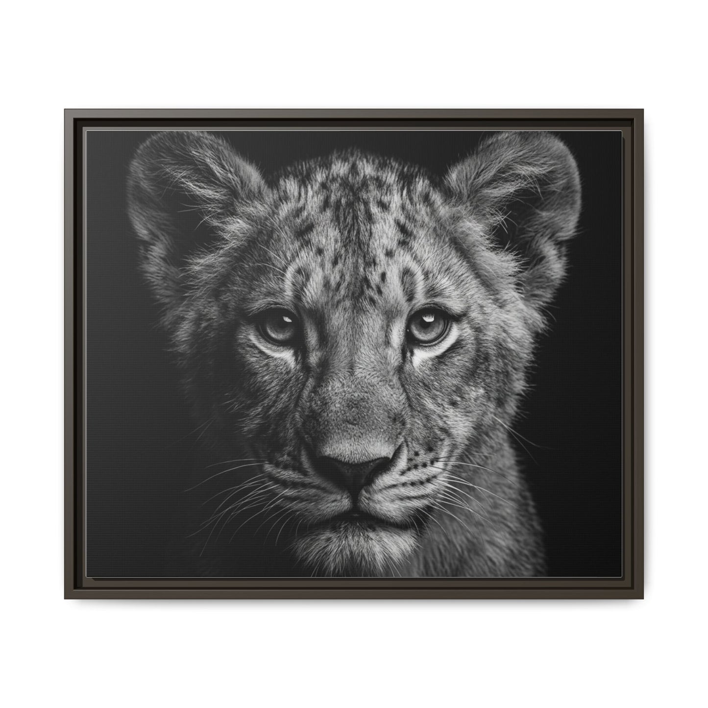 Framed Canvas Print — Lion Cub In Black